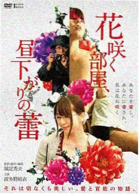 我的表妹 主海报